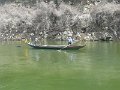 Yangtze River (100)